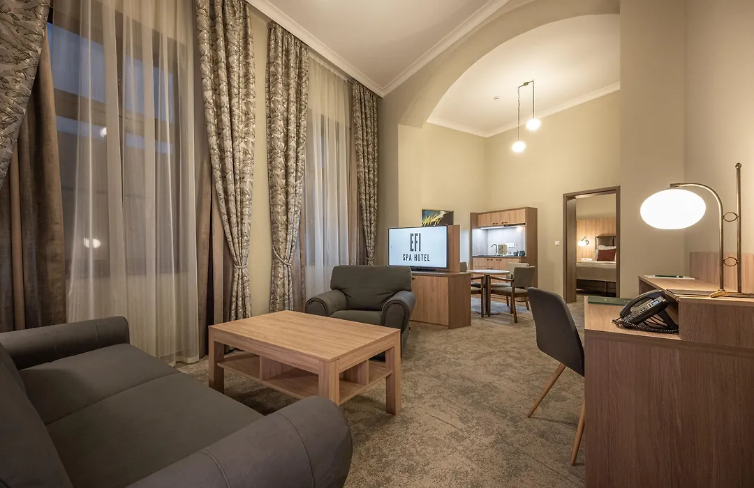 Efi Spa Hotel Superior & Pivovar-1